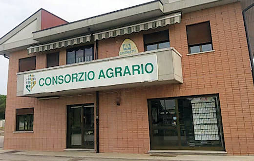 Foto Agenzia