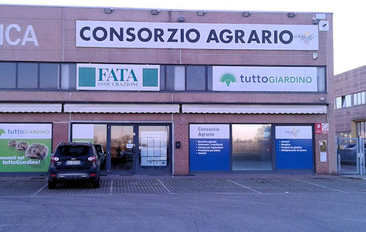 Foto Agenzia