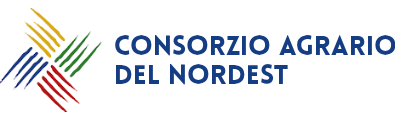 CONSORZIO AGRARIO NORDEST 