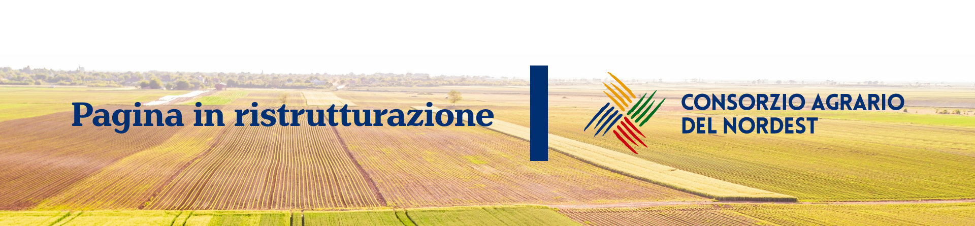 img_background_pagina_in_costruzione